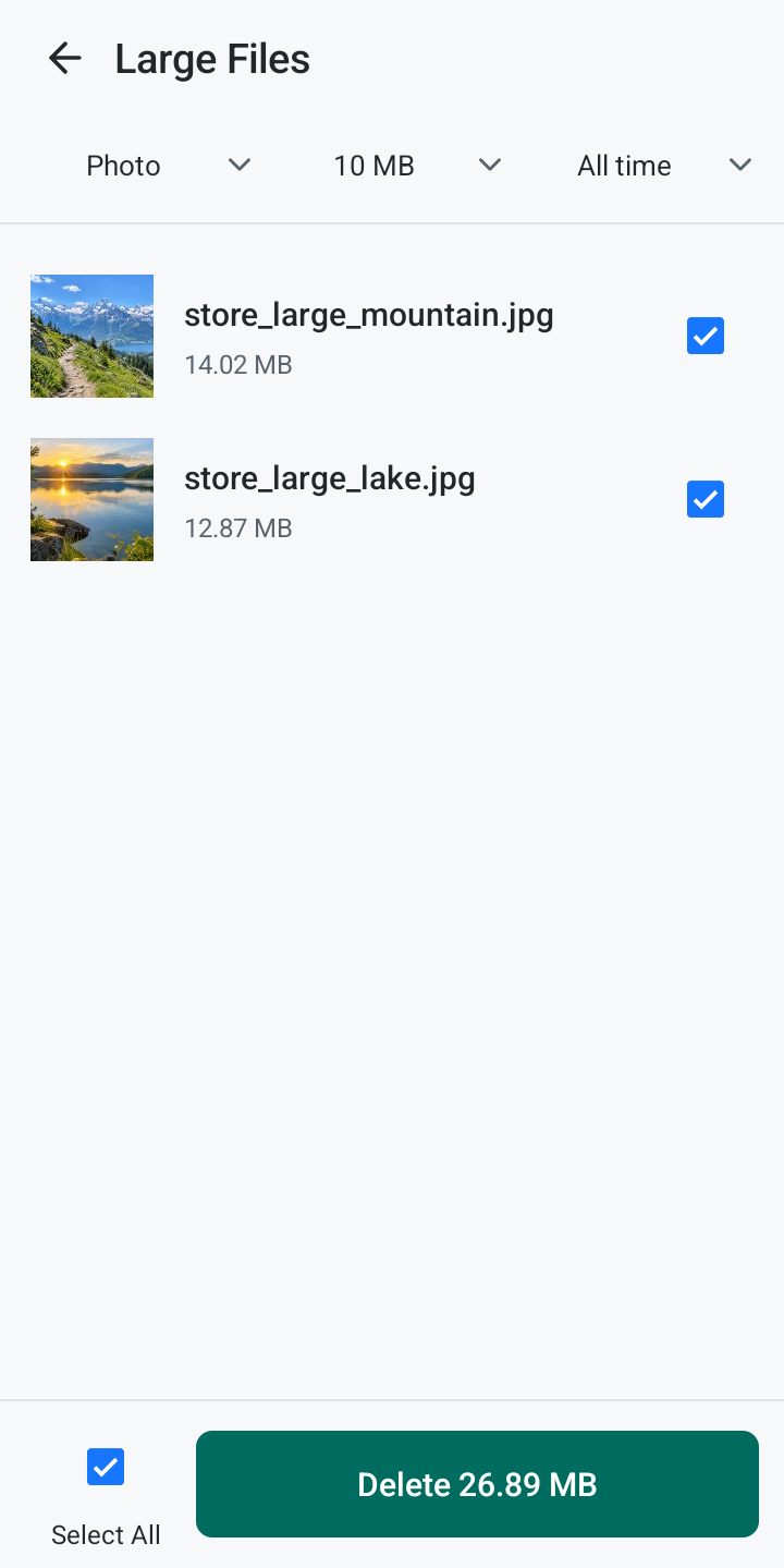 Large files listed for review